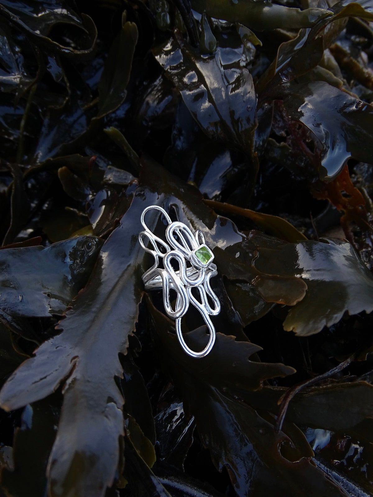 seaweed ring • size K