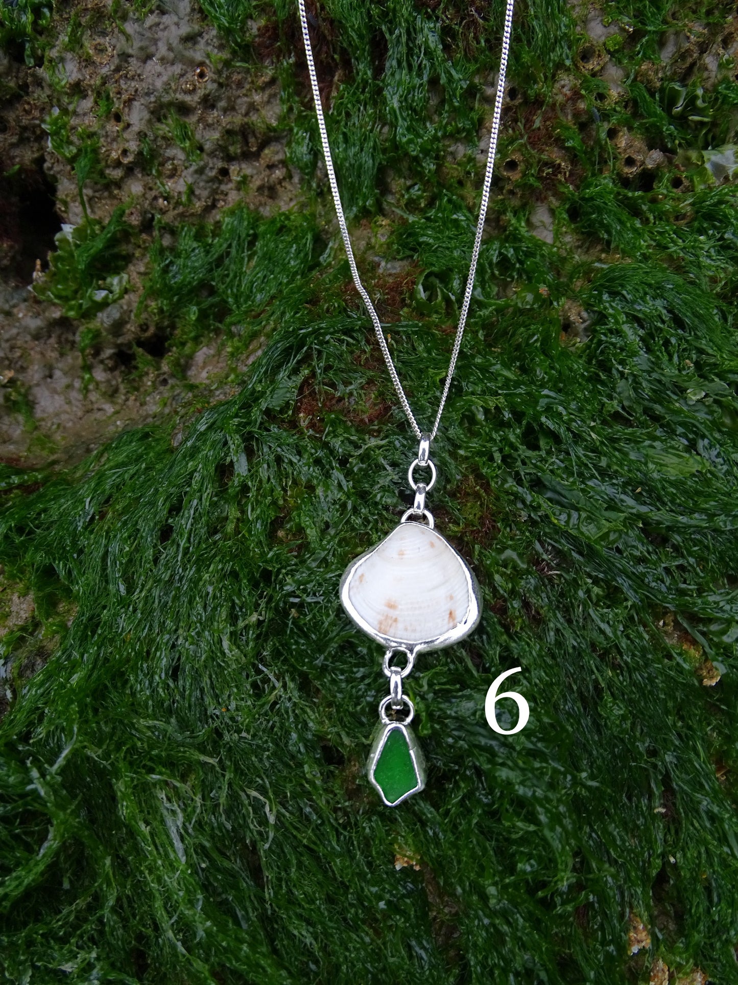 seashell pendants