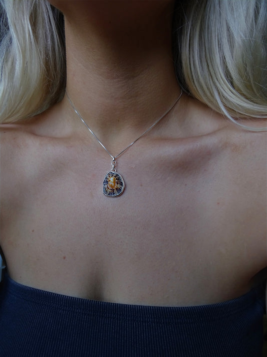 seashell pendants