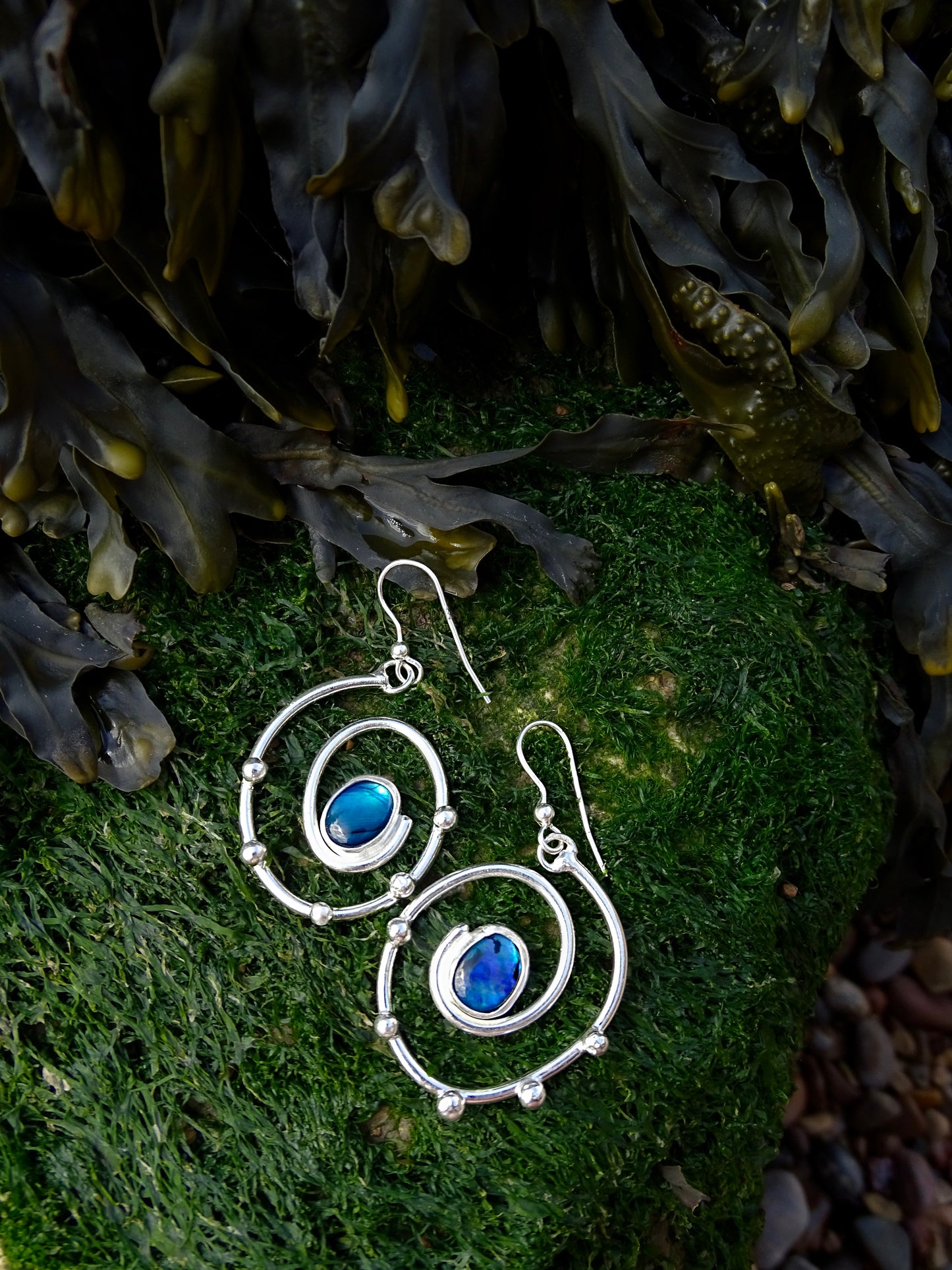 abalone spiral earrings